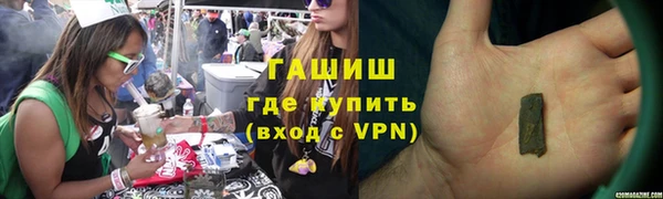 винт Ельня