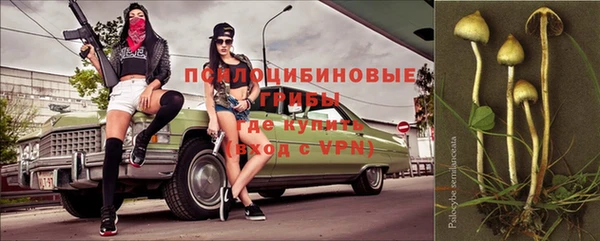 шишки Балахна