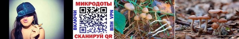 ОМГ ОМГ как войти  Красноуральск  Галлюциногенные грибы Psilocybe  где можно купить наркотик 